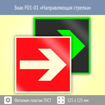 Знак F01-01 «Направляющая стрелка» (фотолюминесцентный пластик ГОСТ 34428-2018, 125х125 мм)